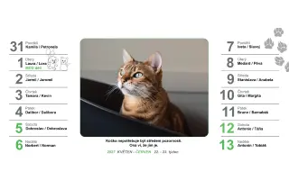 Podpořte tisk kalendářů 2027 na pomoc pejskům a kočičkám