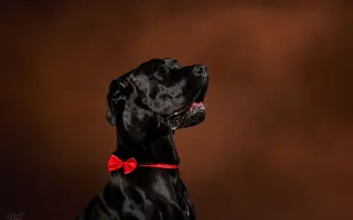 Podpořte pořízení nového fotovybavení