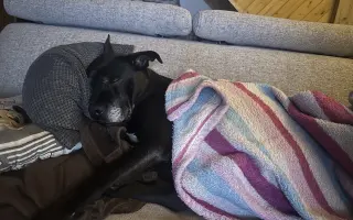 POMOC PRO ABBEY – DŮSTOJNÁ PALIATIVNÍ PÉČE