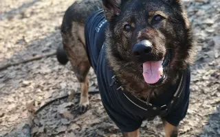 Léčba, která nekončí - Fůrie