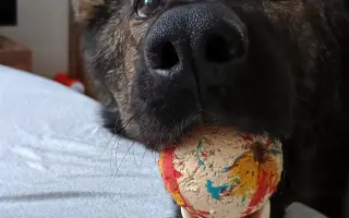 Léčba, která nekončí - Fůrie