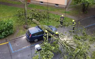 Velká šance pro bojovnici Kačku
