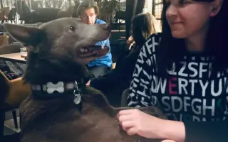 Pomozte Petře v boji s nádorem mozku