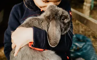 Přístřešek pro zvířata z Kozího spolku