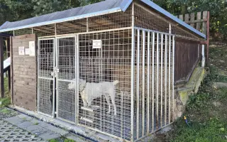 Pomozte nám zrekonstruovat přepouštěcí kotec pro psy v útulku AniDef