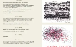 Jaru Kalvodová: ONKODENÍK   - VYDEJME HO SPOLEČNĚ!