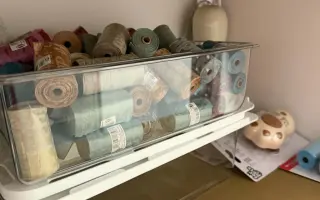 Pojďte s Xyrou pomáhat pejskům, kteří to potřebují
