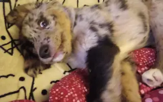 Pomoc pro Rozárku ❤️
