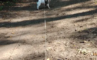Zachráňte Marilyn bojující s rakovinou