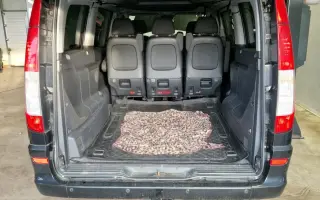 Nová "sanitka" pro psí dědečky a babičky