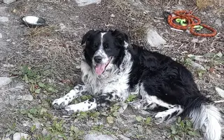 Šance na zrak pro Tedyka