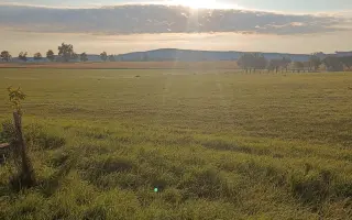 Zachraňme srnčata na Třešťsku