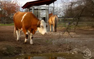 Pomůžete nám naplnit bříška hospodářským zvířátkům