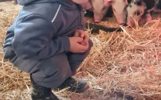 Prosíme o pomoc - sami to po požáru nezvládnou