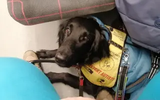 Potřebujeme opravit auto, na kterém jsme závislí.