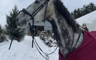 Pomozte Calebovi ulevit od bolesti