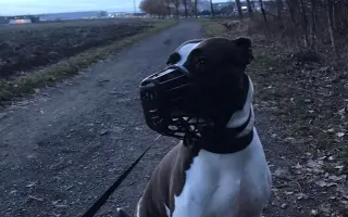 Mia ví, že čas běží… my můžeme prodloužit její chvíle