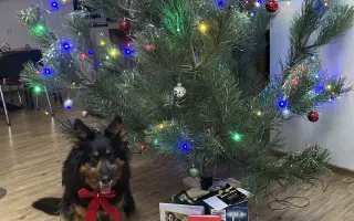 Pomozte mi dát Arye šanci, aby její život mohl pokračovat