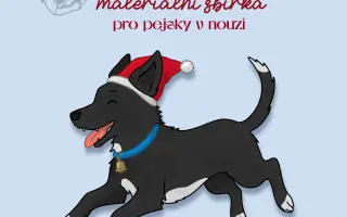 Vánoční materiální sbírka pro psy v nouzi #10