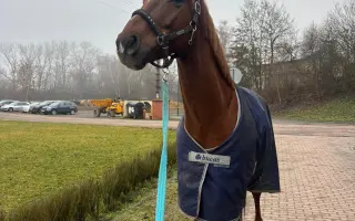 Zachraňme valáška Naríčka