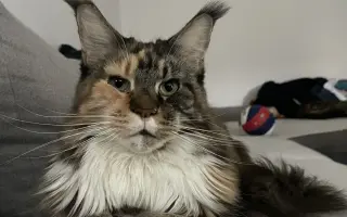 Pomoc pro Enie v boji s nádorem