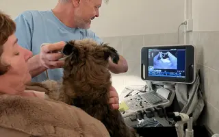 Lálinka by chtěla zase vidět