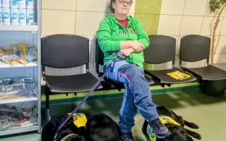 POMOC PRO FOXÍČKA, ASPENA A TAFFY-JACKA