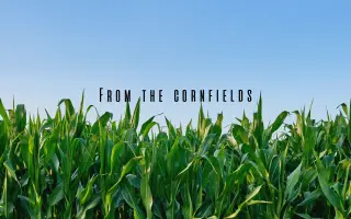 Pomozte NOISETRAP vydat debutové album "From the Cornfields" a natočit videoklip