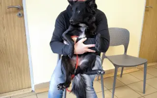 Ari přežila poušť. Teď ji ničí bolest...