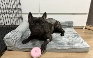 Pomozme Calvinovi zpět na nožičky