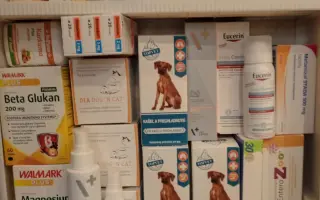 POMOC PRO FOXÍČKA, ASPENA A TAFFY-JACKA