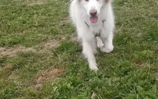 Šťastnější dny pro Miu