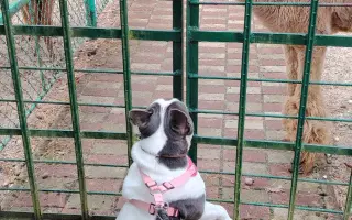 Zachráňte Marilyn bojující s rakovinou