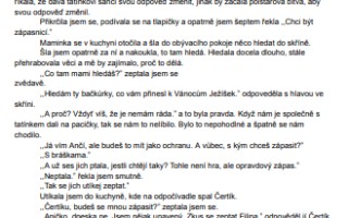 Podpořte vydání e-knihy Anička, čili život kotěte aneb jak se stát kýmkoliv