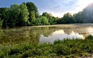 Nový začátek pro maminku a syny