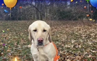 Pomozte Quentymu být mýma očima ❤️