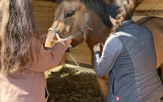 Akutní operace a pooperační péče Lucase