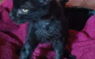 Mia bojuje o návrat do života po srážce s autem