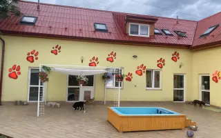 Pomozte zachránit Psí domov spolku Zastavme Utrpení.