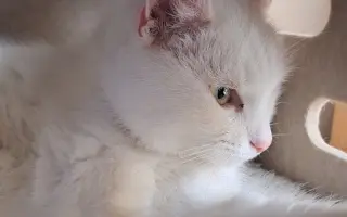 9 nalezených Lásek