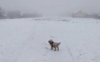 Spřízněné duše – léčba pro maxi a mini fenku ❤️