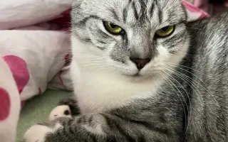 Daisy bojuje o život. Pomozme jí znovu dýchat