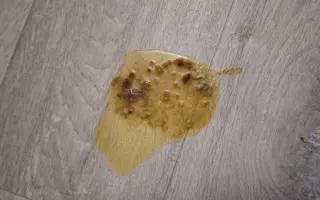 9 nalezených Lásek