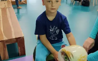 Sbírka pro Vašíka
