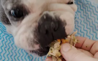 Zachráňte Marilyn bojující s rakovinou