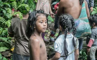 Amazonie volá o pomoc: zachraňme tisíce druhů zvířat a rostlin před těžaři