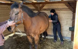 Akutní operace a pooperační péče Lucase