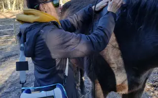 Operace pro Nitise - šance k jeho plnému uzdravení