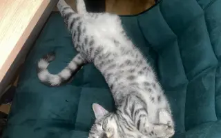 Pomozte mi zachránit Nalku