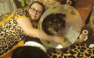 POMOC PRO FOXÍČKA, ASPENA A TAFFY-JACKA